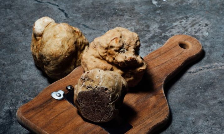 Istria’s autumn delicacy: A look at upcoming truffle festivals