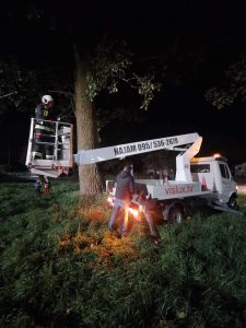 Voluntary Fire Brigade of Pribislavec rescue cat