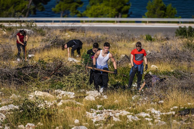 Boranka campaignin Dalmatia affected by fires.