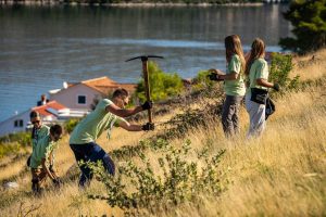 Boranka campaignin Dalmatia affected by fires.