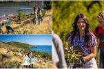 Hundreds of students reforest fire-damaged area in Grebaštica near Šibenik