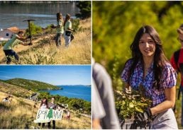 Hundreds of students reforest fire-damaged area in Grebaštica near Šibenik