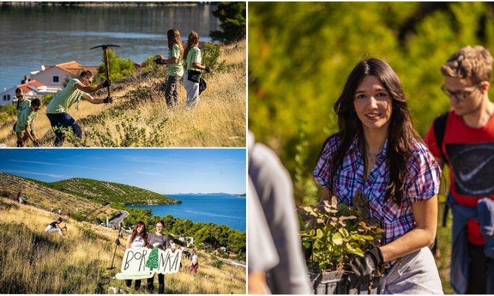 Hundreds of students reforest fire-damaged area in Grebaštica near Šibenik