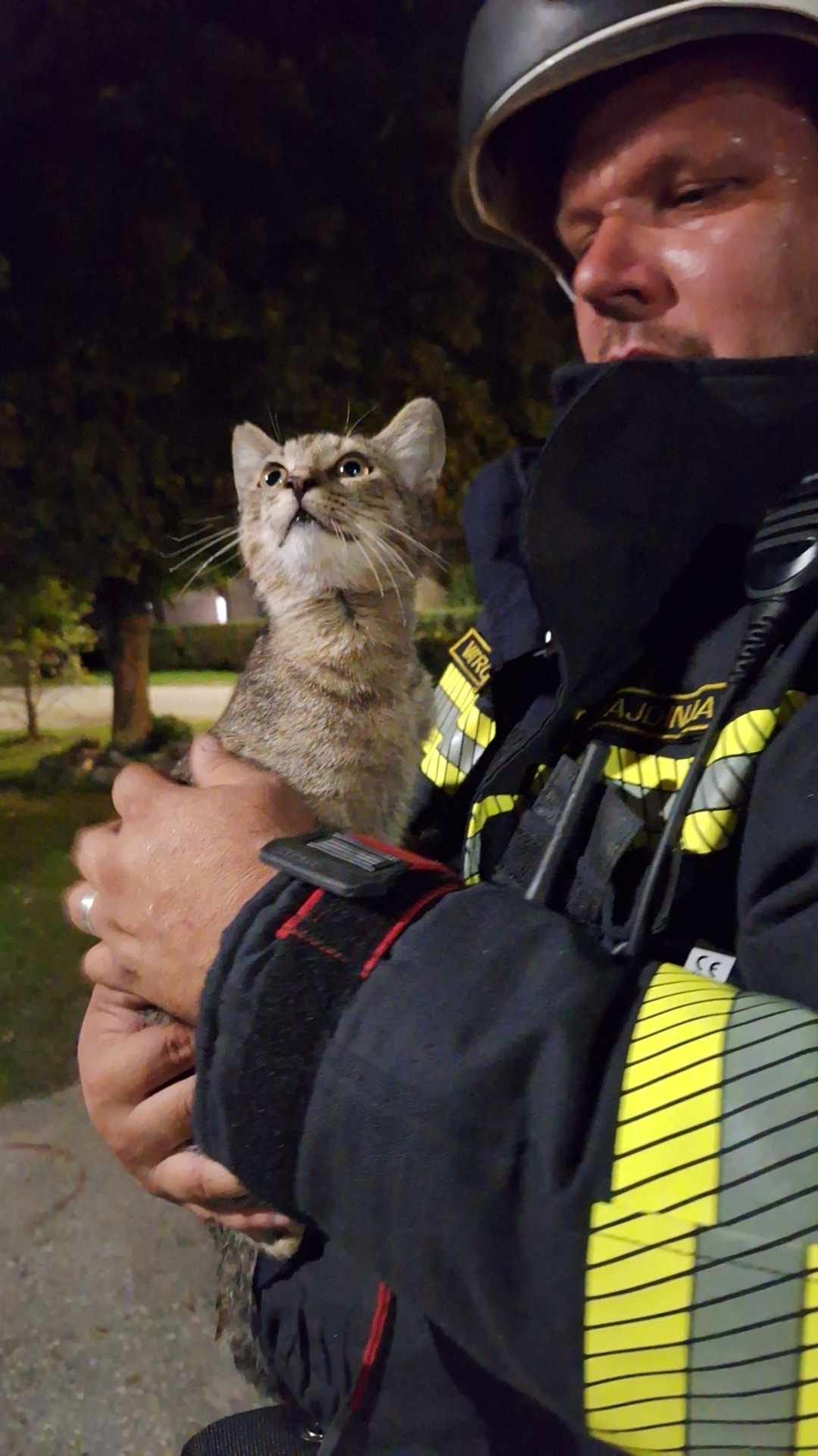 Voluntary Fire Brigade of Pribislavec rescue cat