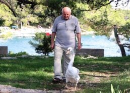 The Croatian man who saved a swan and became inseparable friends