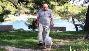 Gojko Mijalica and the swan in Jadrija