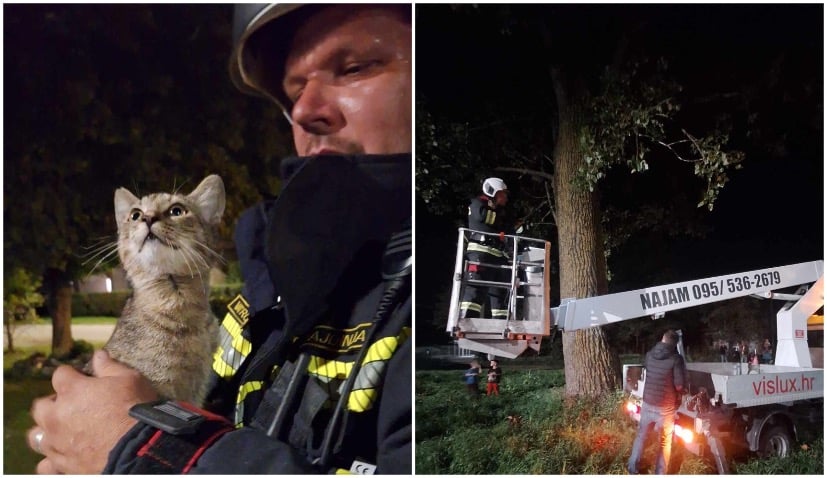 Voluntary Fire Brigade of Pribislavec rescue cat