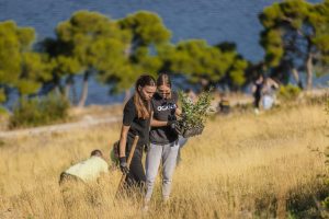 Boranka campaignin Dalmatia affected by fires.