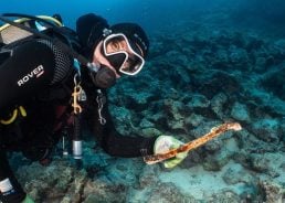 PHOTOS: Ancient human bone discovered off Croatian island of Vis