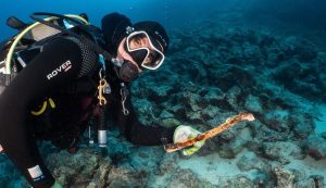 Ancient human bone discovered off Croatian island of Vis