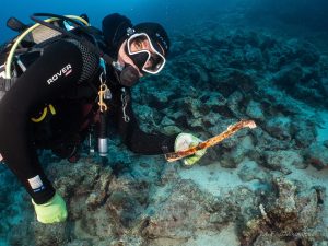 Ancient human bone discovered off Croatian island of Vis