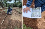 Lost garden from historic maps being rebuilt near Croatian city 