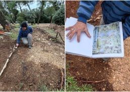 Lost garden from historic maps being rebuilt near Croatian city 