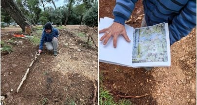 Lost garden from historic maps being rebuilt near Croatian city 