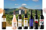 Croatian wines awarded gold and silver medals by US media group Santé