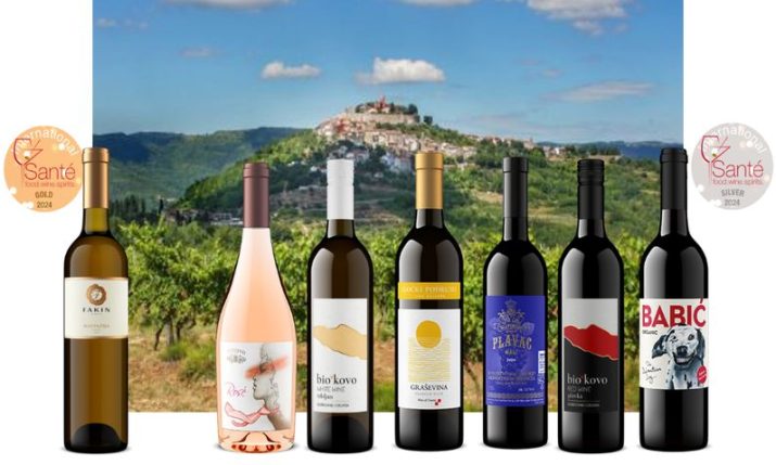 Croatian wines awarded gold and silver medals by US media group Santé