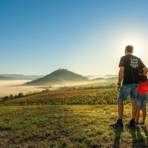 Marko Fakin, winemaker at Fakin Wines, and his son inspect their vineyards in Motovun