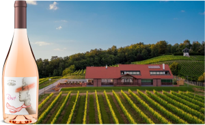 Source: Croatian Premium Wine Imports, Inc. – Kutjevo Winery 1232 is the oldest Croatian winery with records dating back to the 13th century, Today this is a modern winery, with its new restaurant Vinkomir built in the vineyards and modern design label including Croatian “kravata.”