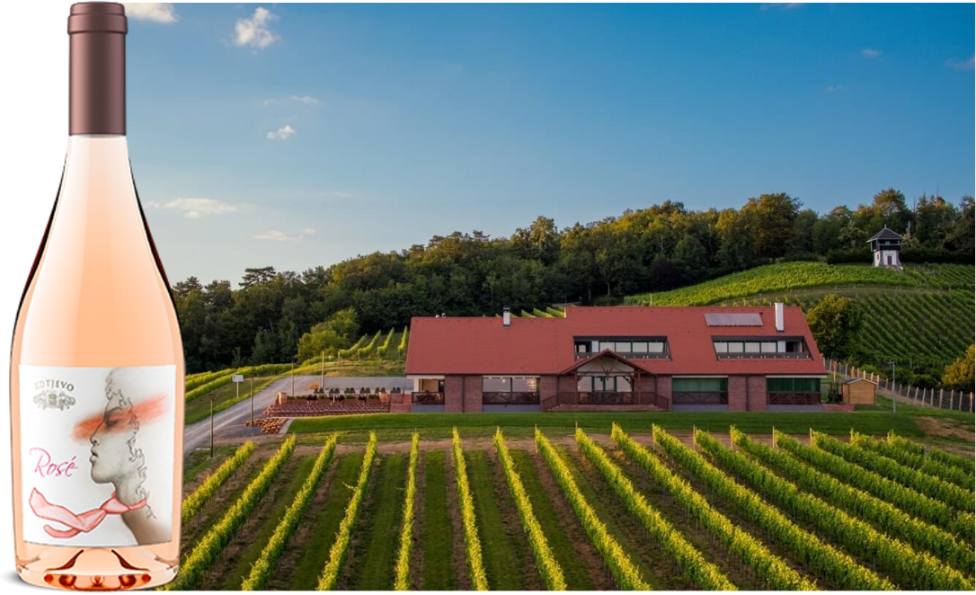 Source: Croatian Premium Wine Imports, Inc.  – Kutjevo Winery 1232 is the oldest Croatian winery with records dating  back to the 13th century, Today this is a modern winery, with its  new restaurant Vinkomir built in the vineyards and modern design label including Croatian “kravata.”