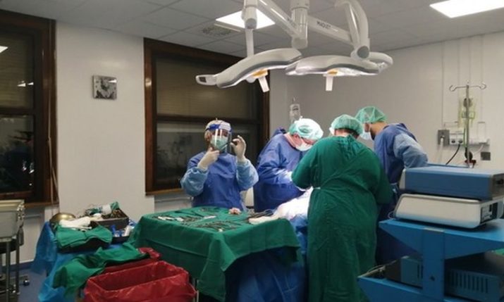 Doctors in Croatia achieve rare and complex medical feat