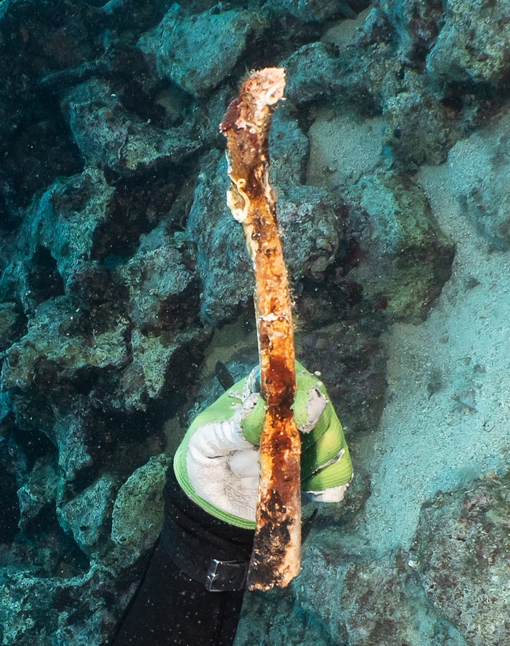 Ancient human bone discovered off Croatian island of Vis