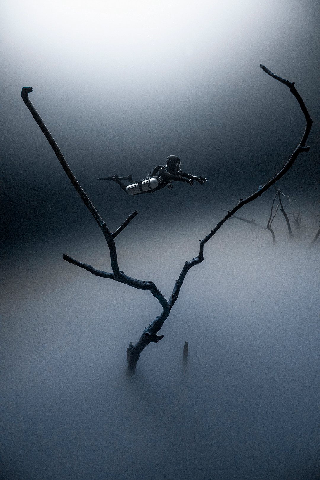 Damir Zurub_Underwater Forest (Zagreb Salon Silver Medal)