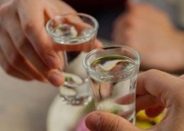 Rakija’s popularity grows in Croatia as image transforms 