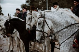 Pokladno jahanje