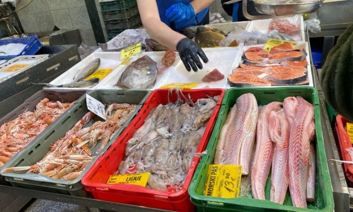 Fish prices now in Croatia: What you’ll pay at the markets